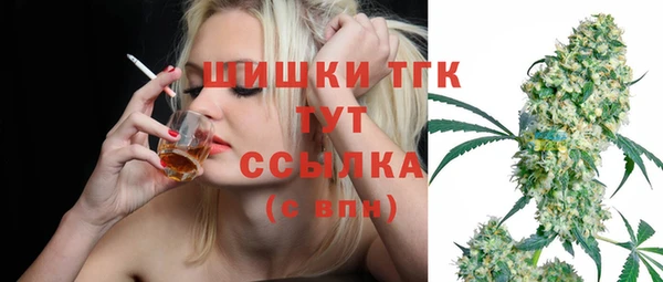 мяу мяу мука Абаза