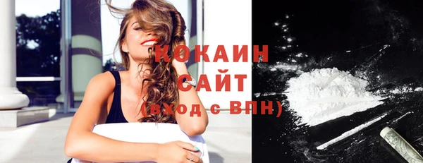 твердый Иннополис